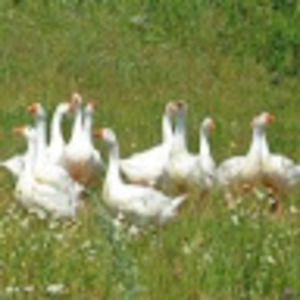 Meet your Posher, Catarina